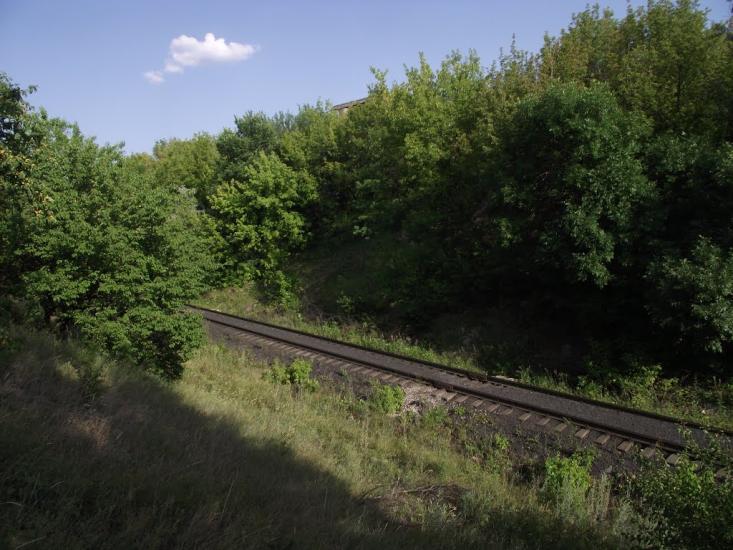 Димитров з panoramio.com - Димитров
