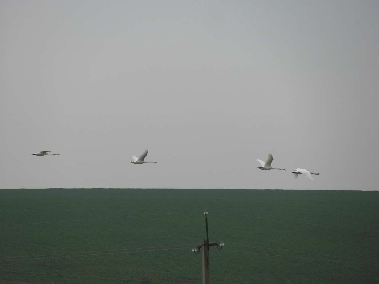 природа - Глібів