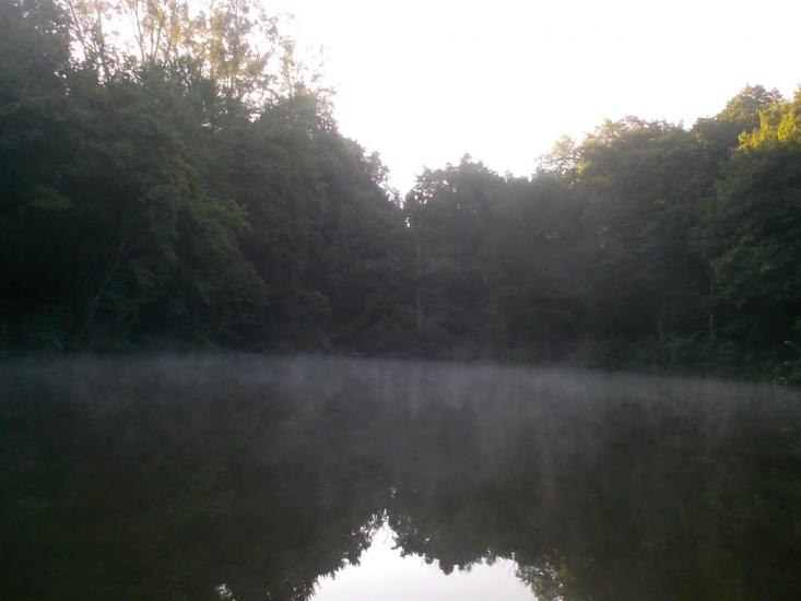 Пії з panoramio.com - Пії