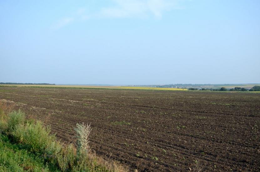 Гурівка з panoramio.com - Гуровка