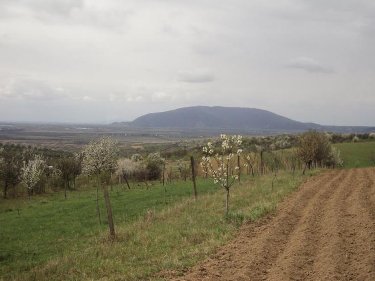 Хижа з panoramio.com - Хижа