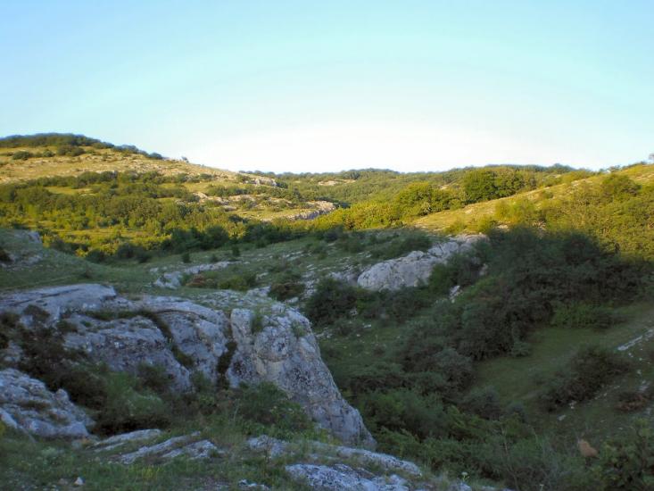Пчолине з panoramio.com - Pcholyne