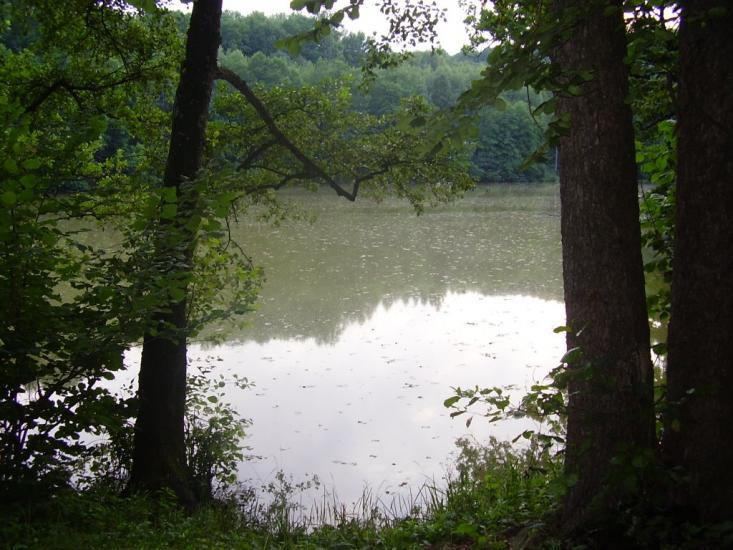 Межиріч з panoramio.com - Межиріч