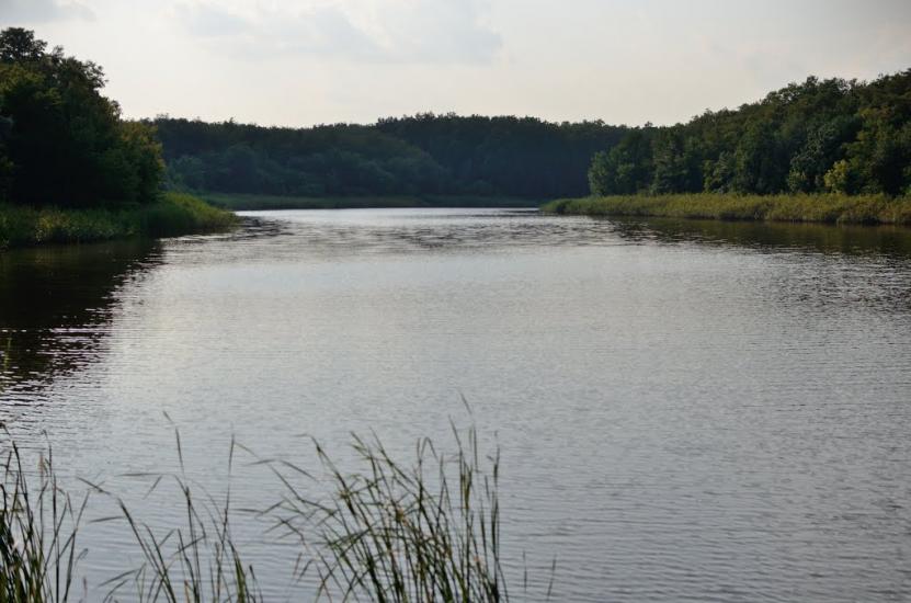 Благодатне з panoramio.com - Благодатне