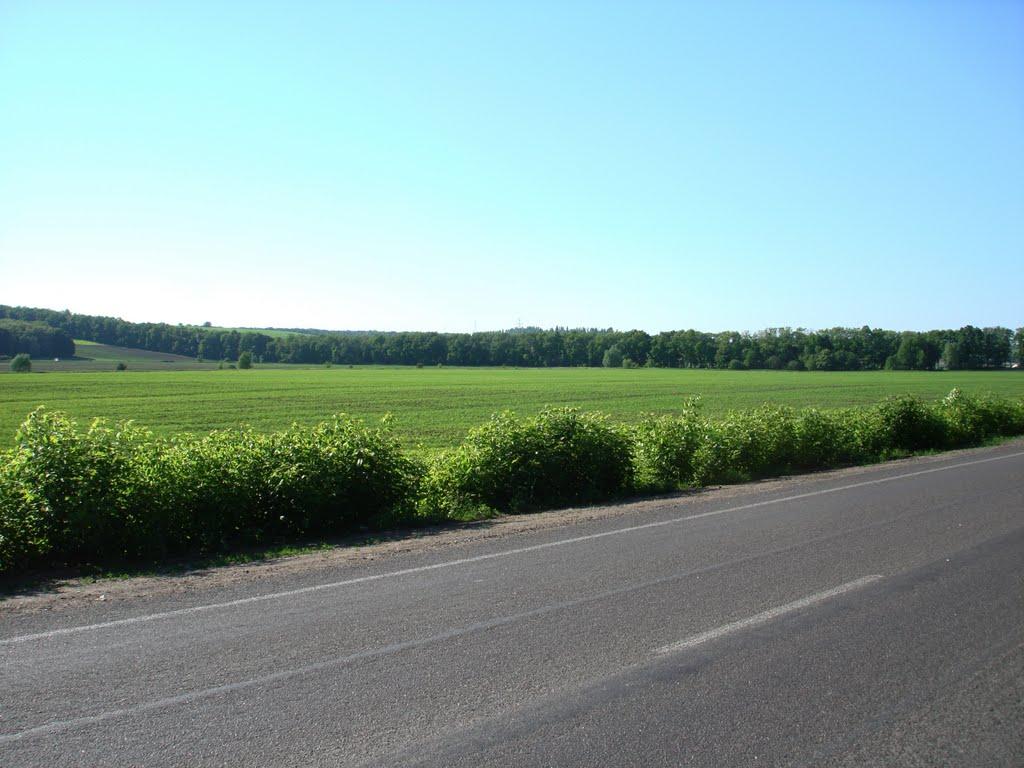 Білогородка з panoramio.com - Білогородка