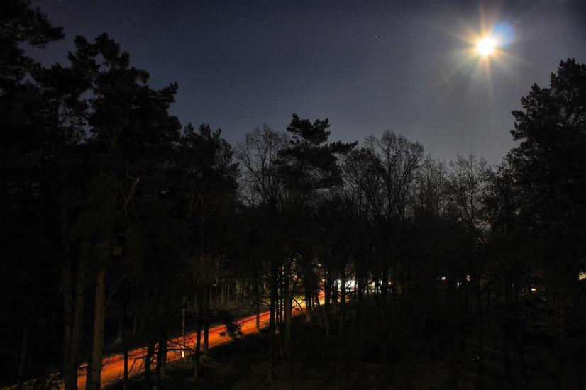 Гончарівське з panoramio.com - Goncharivske