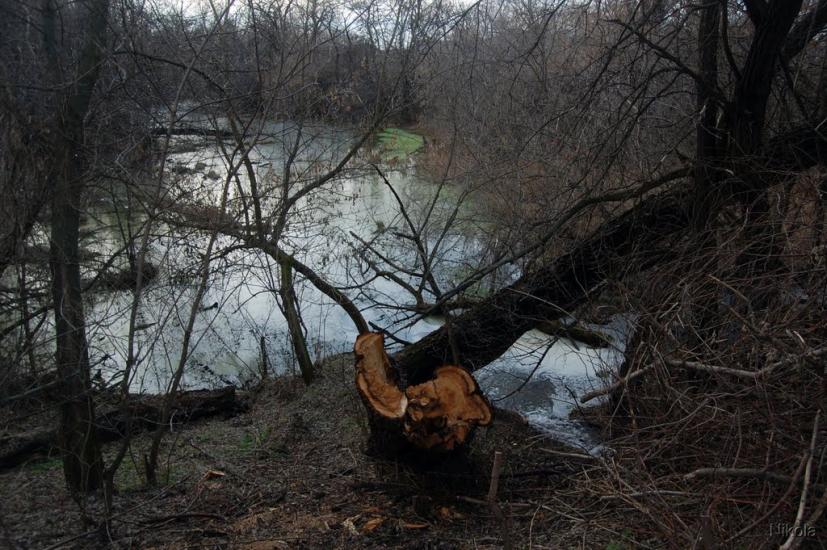 Капітанове з panoramio.com - Капітанове