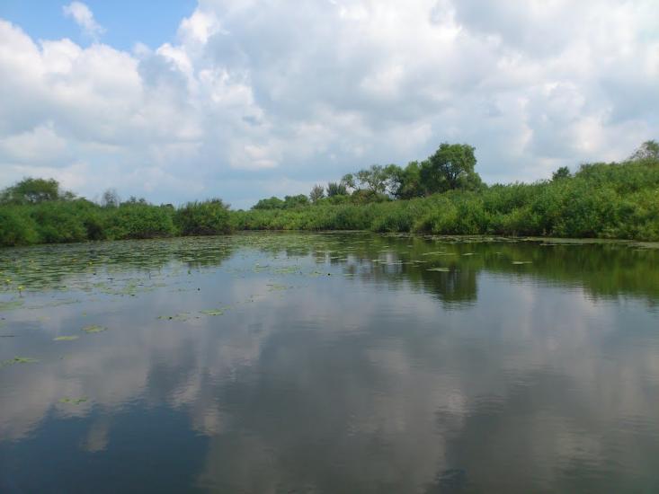 Любеч з panoramio.com - Любеч