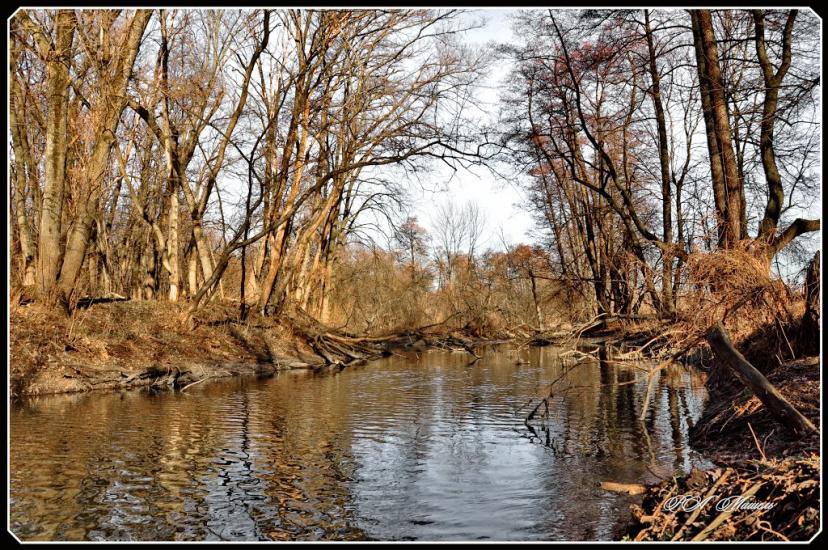 Торське з panoramio.com - Торское