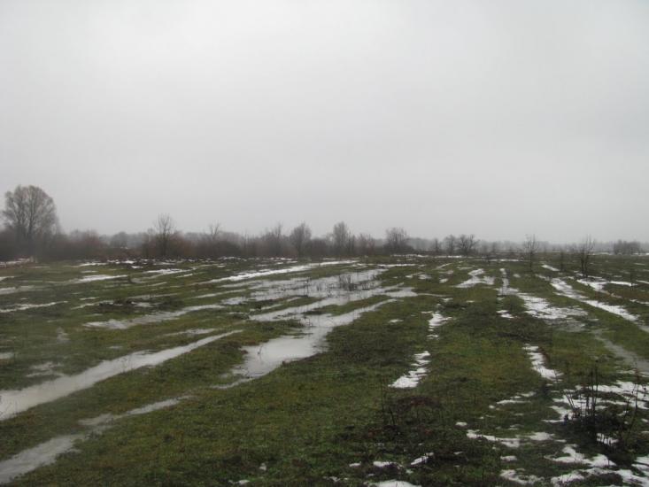 Миси з panoramio.com - Mysy