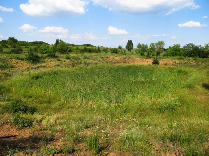 Карло-Марксове з panoramio.com - Карло-Марксово