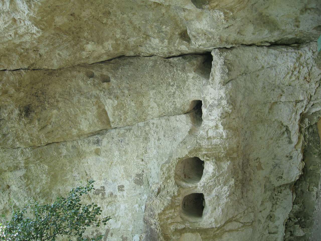 Бакота - Гораївка