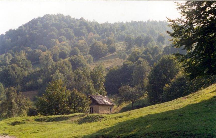 Поляна з panoramio.com - Поляна