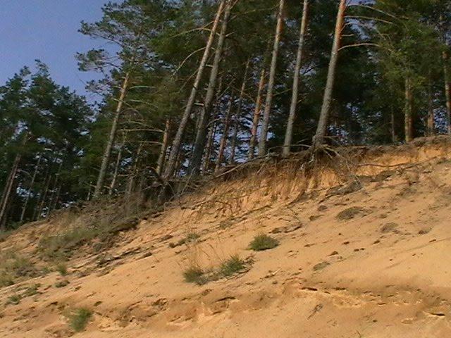 Суслівка з panoramio.com - Суслівка