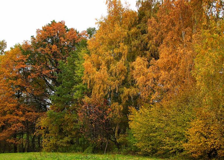 Ковалівка з panoramio.com - Ковалівка