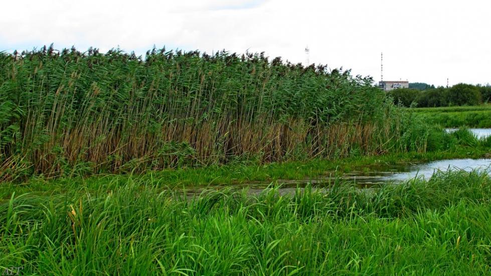 Кузнецовськ з panoramio.com - Varash