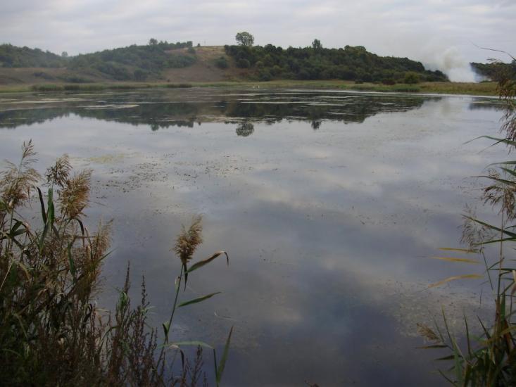 Городище з panoramio.com - Городище