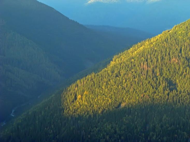 Осмолода з panoramio.com (ч.2) - Осмолода
