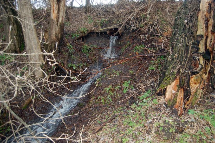 Капітанове з panoramio.com - Капітанове