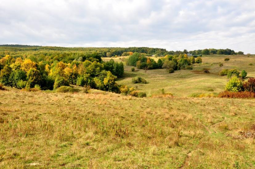 Грушівка з panoramio.com - Grushivka