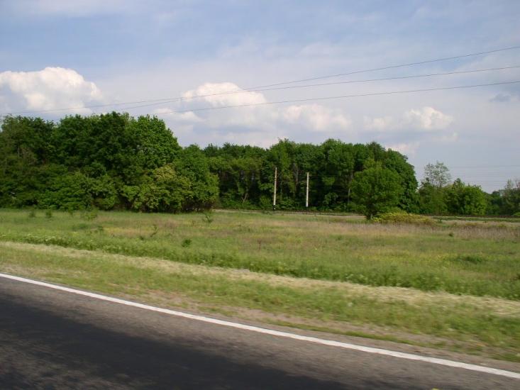 Новоіванівське з panoramio.com - Новоіванівське