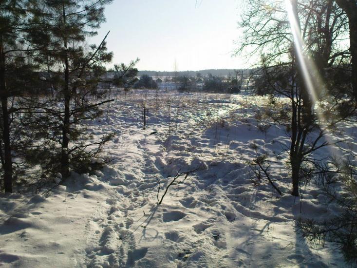 Буки з panoramio.com - Буки