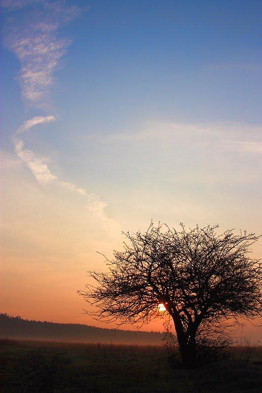 Почапи з panoramio.com - Почапи