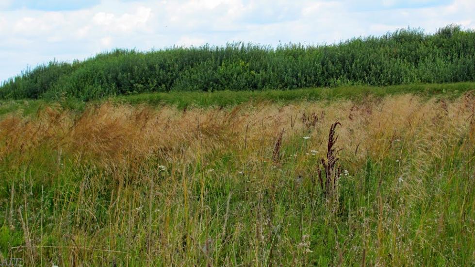 Кузнецовськ з panoramio.com - Varash