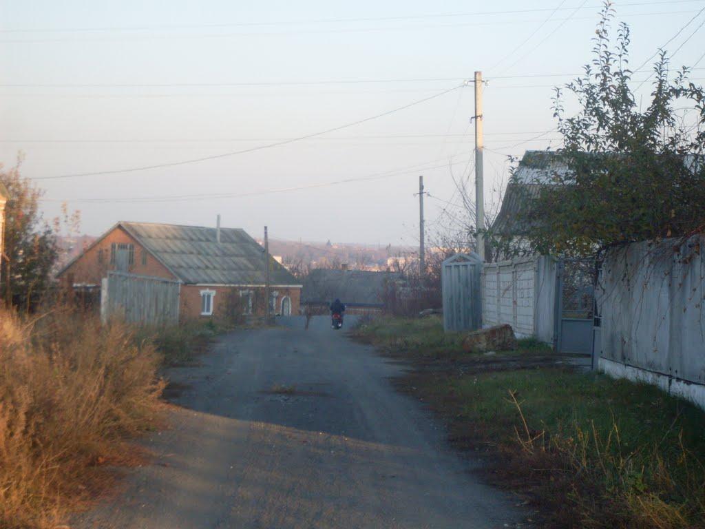 Куна з panoramio.com - Куна