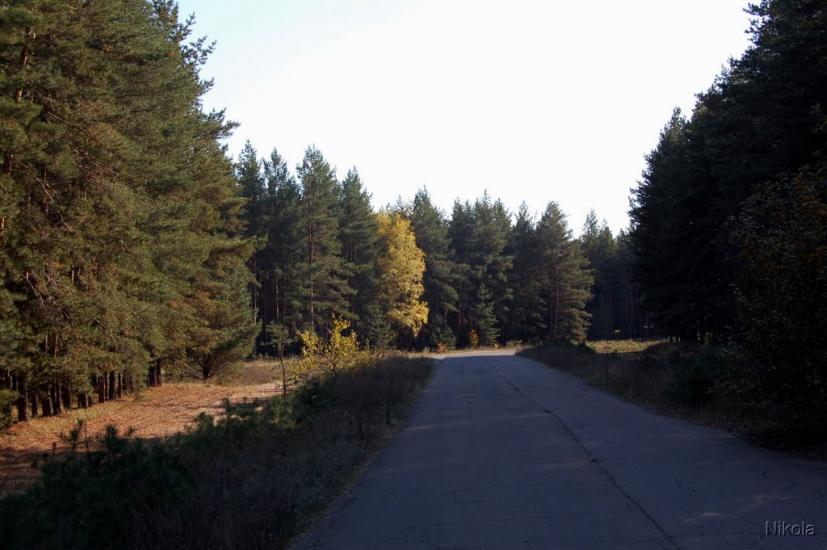 Кудряшівка з panoramio.com - Кудряшовка