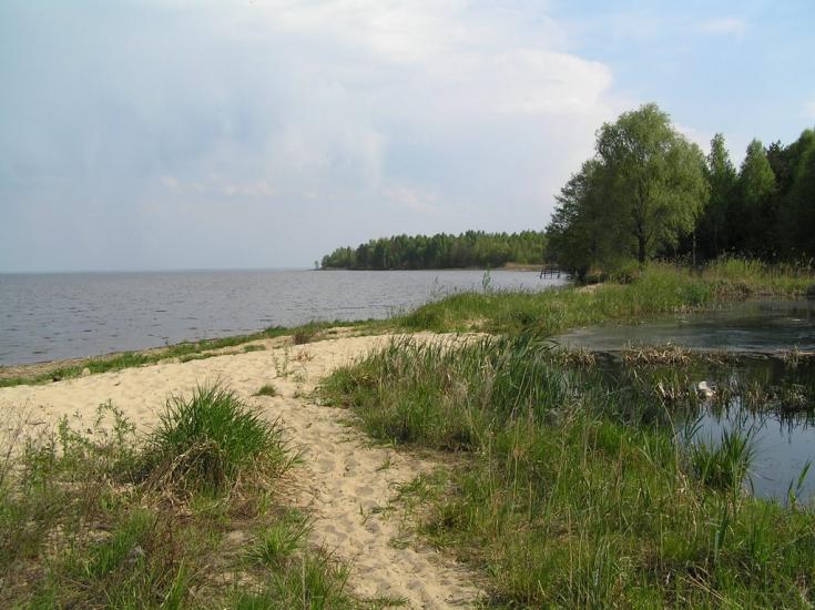 Толокунь з panoramio.com - Толокунь