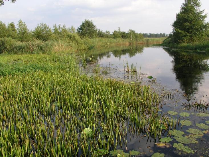 Бучин з panoramio.com - Бучин