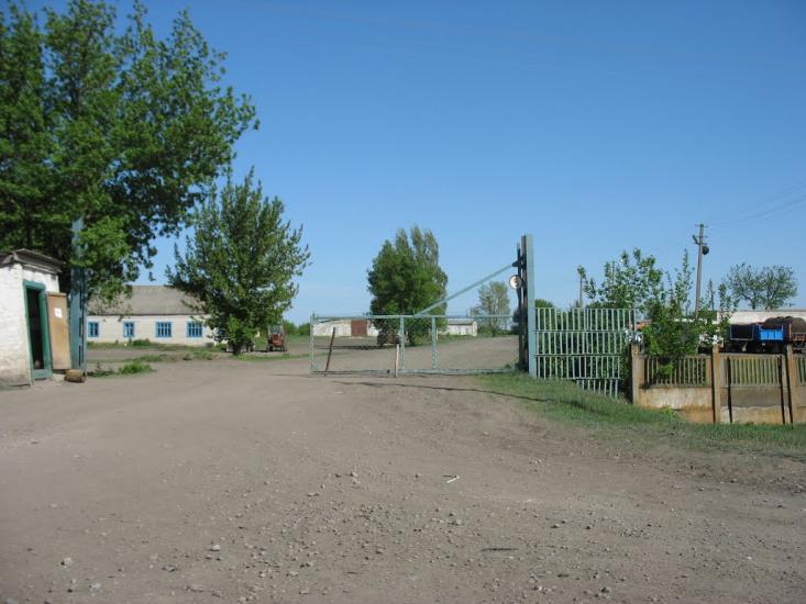 Новознам'янка з panoramio.com - Новознаменка