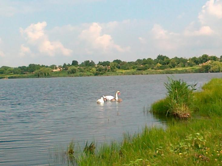 Новогригорівка Перша з panoramio.com - Novogrygorivka Persha