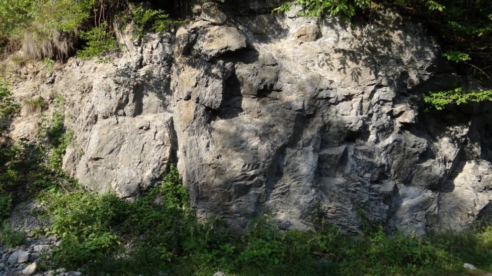 Луг з panoramio.com - Луг