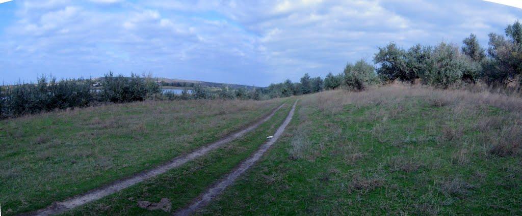 Старозаводське з panoramio.com - Старозаводское