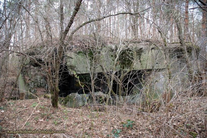 Зелена Гута з panoramio.com - Зеленая Гута