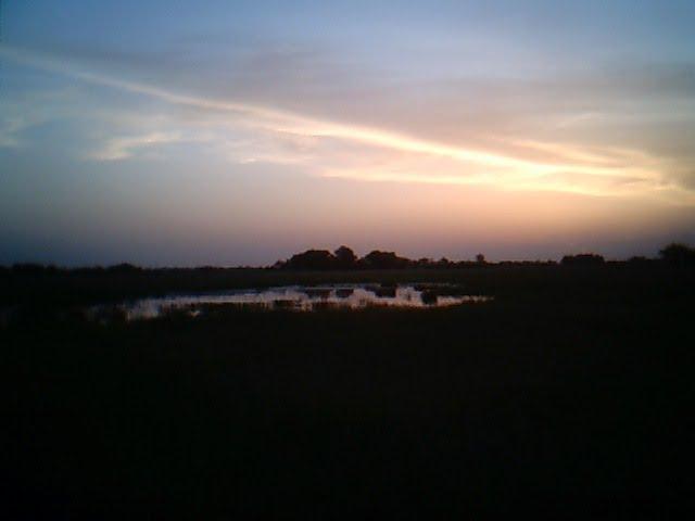 Гречане з panoramio.com - Grechane