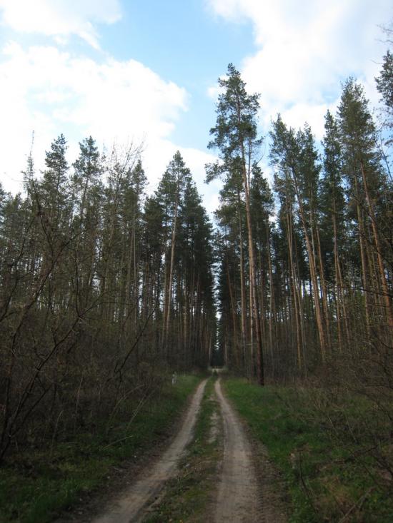 Колесниківка з panoramio.com - Колесниківка