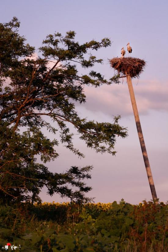 Раухівка з panoramio.com - Раухівка