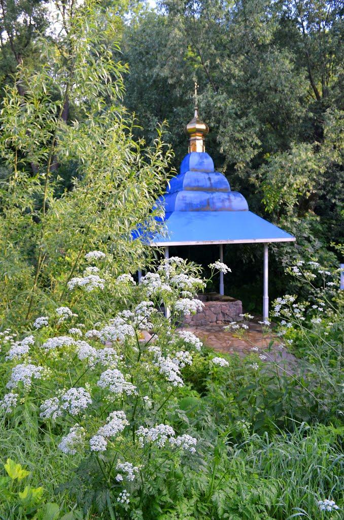 Білогородка з panoramio.com - Білогородка