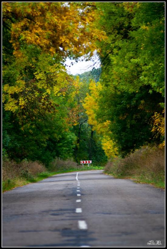 Кривуха з panoramio.com - Кривуха