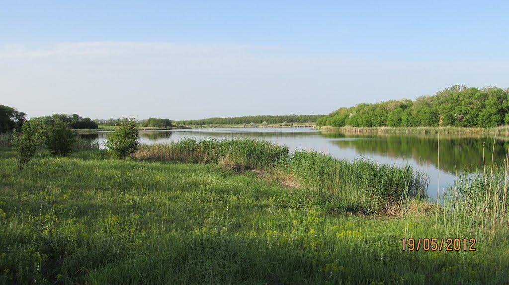 Кузнецово-Михайлівка з panoramio.com - Кузнецово-Михайлівка