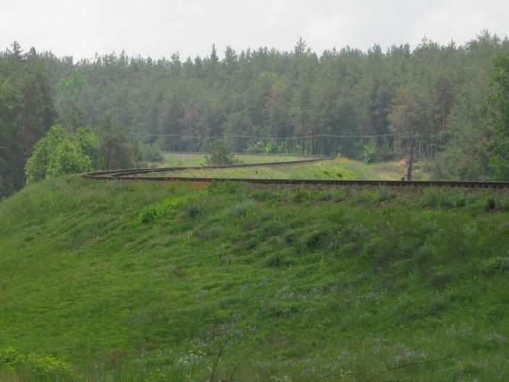 Губник з panoramio.com - Губник