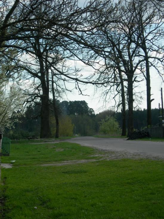 Новостав з panoramio.com - Новостав