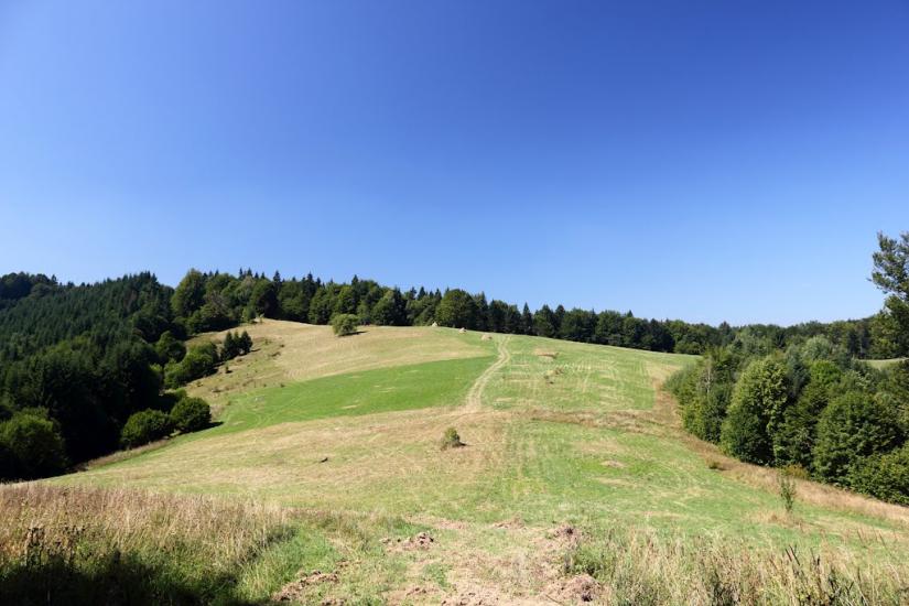 Лопушна з panoramio.com - Лопушна