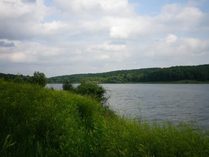 Северинівка з panoramio.com - Северинівка