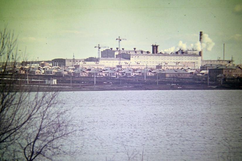 Новогригорівка Перша з panoramio.com - Новогригорівка Перша