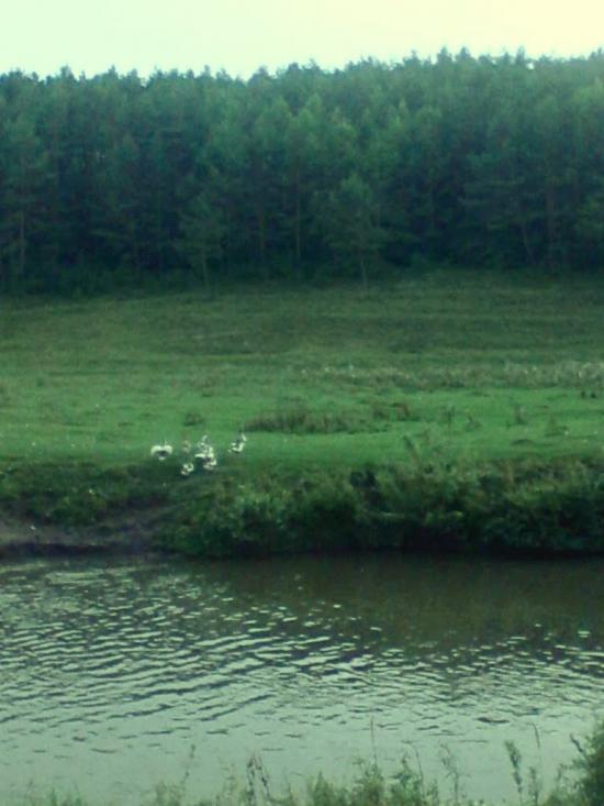 Вариводки з panoramio.com - Вариводки