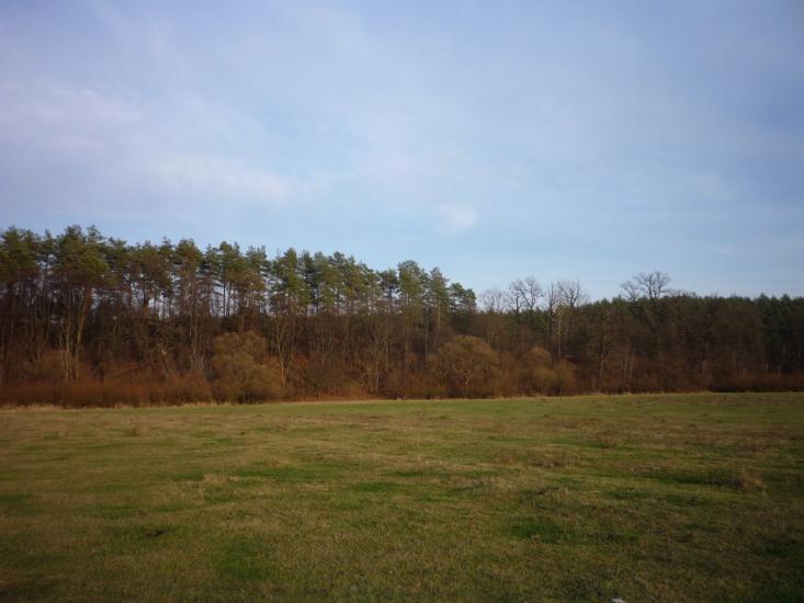Славута з panoramio.com - Славута